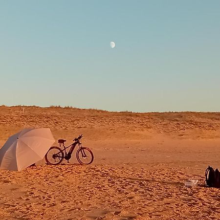 Le Spot Studio'Hotel "Les Pieds Dans Le Sable " Seignosse Exteriör bild